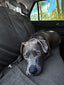 Waterproof Back Seat Towel – Charcoal Grey | Towel Society