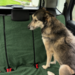 Dog sitting on a Moss Green waterproof back seat towel
