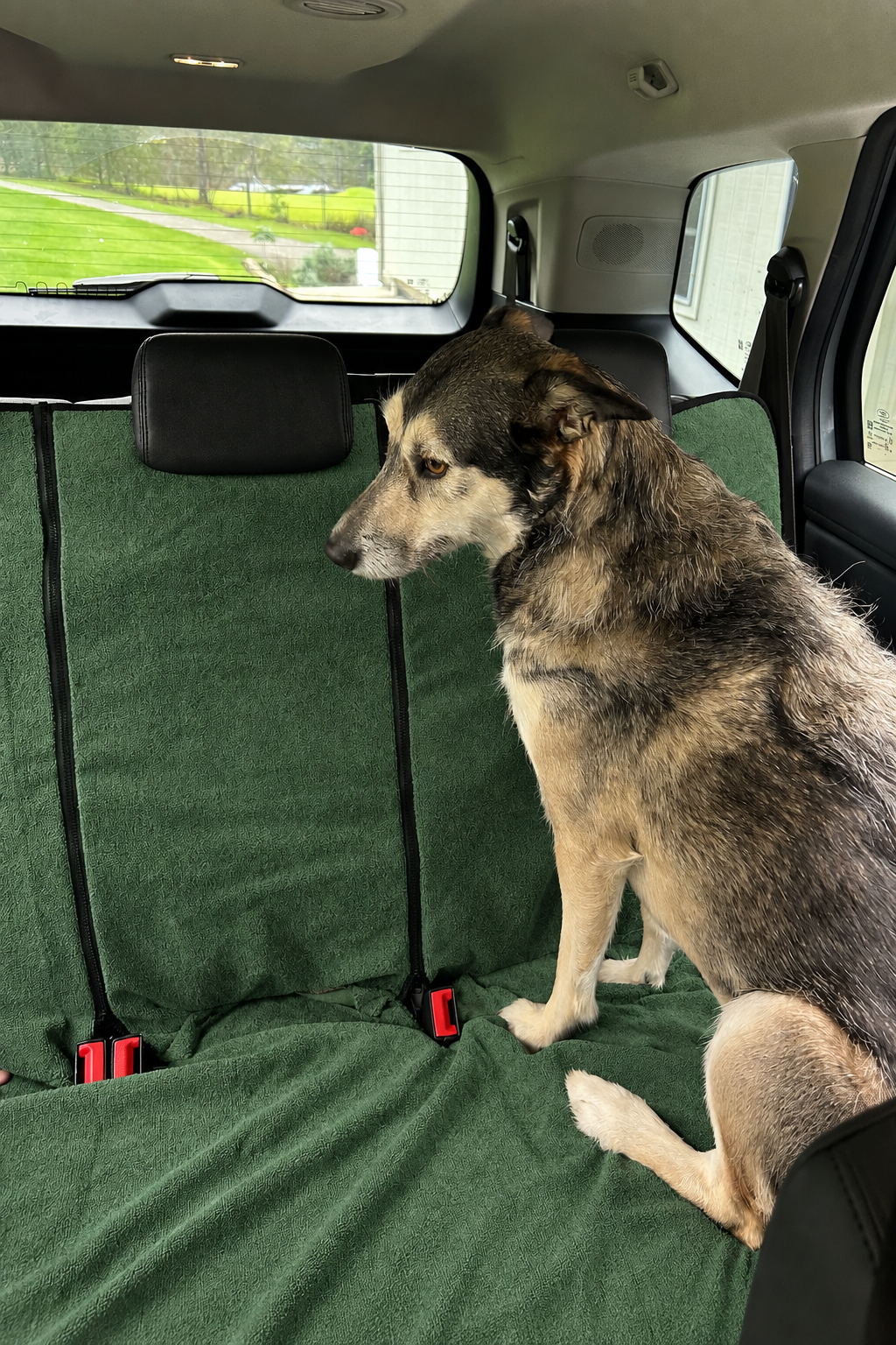 Dog sitting on a Moss Green waterproof back seat towel