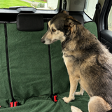 Dog sitting on a Moss Green waterproof back seat towel